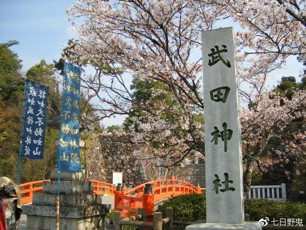 2019年日本大赏排行榜,2018全日本赏樱花旅游攻略