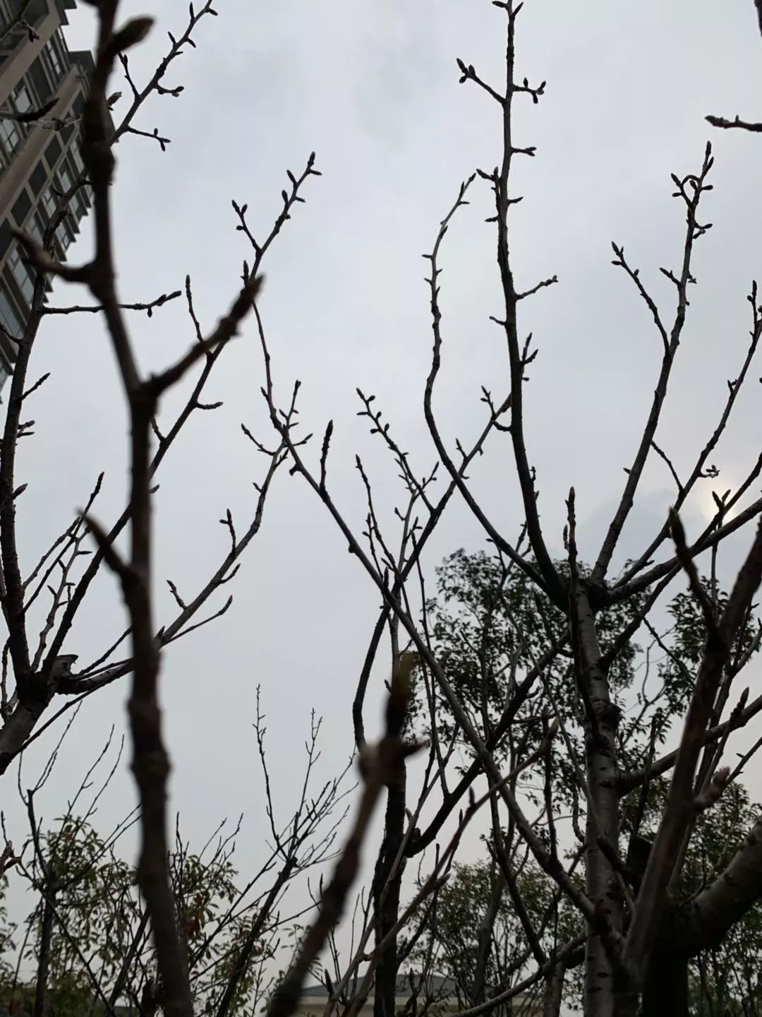 被查出有毒品的零食,公安局破获了一起有害食品案