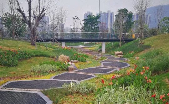 南山人运动又多了个好去处!前海运动公园开启试运营啦~