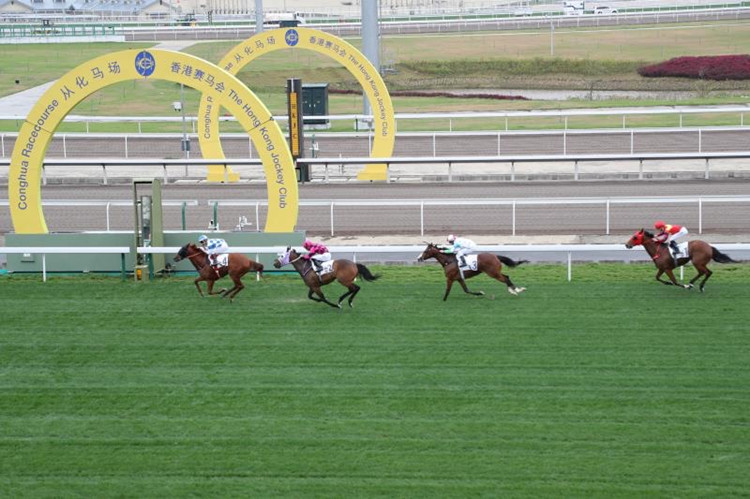骞垮窞浠庡寲椹満涓捐椹湳姣旇禌,浠庡寲椹満娴峰叧鐩戠