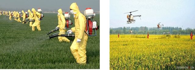 山东众得丰农化助力作物增产增收,节水灌溉增产增收利国利民