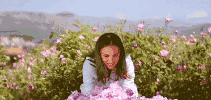 omg买它买它什么梗,omg买它原版