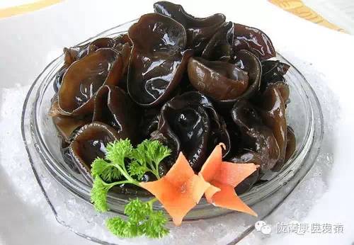 康县自驾游最新消息,康县旅游攻略自由行