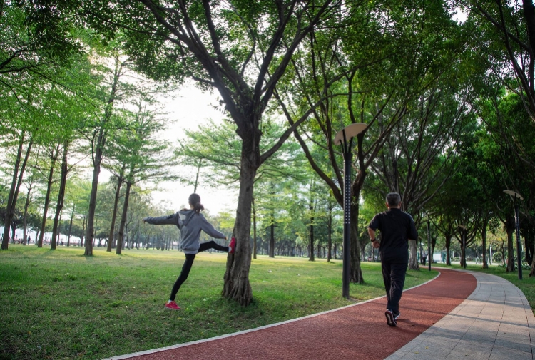 中国最美绿道打卡,广州天河绿道攻略