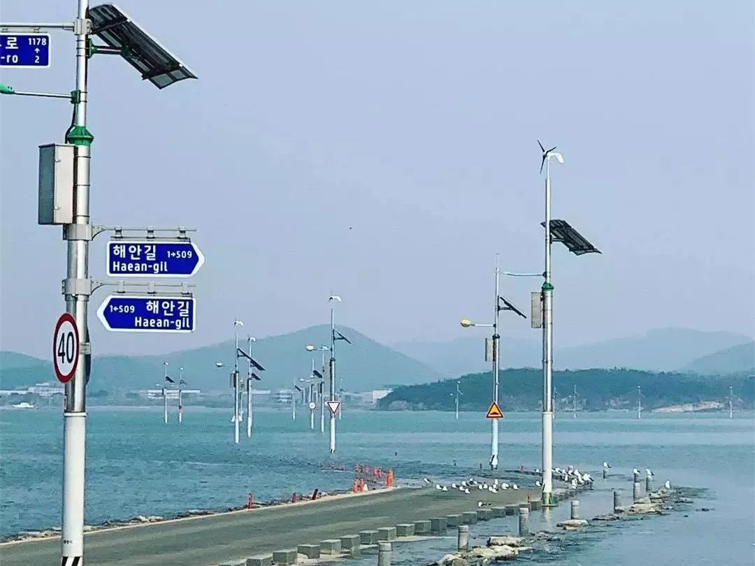 韩国著名悬案红指甲油事件,韩国悬案红色指甲油