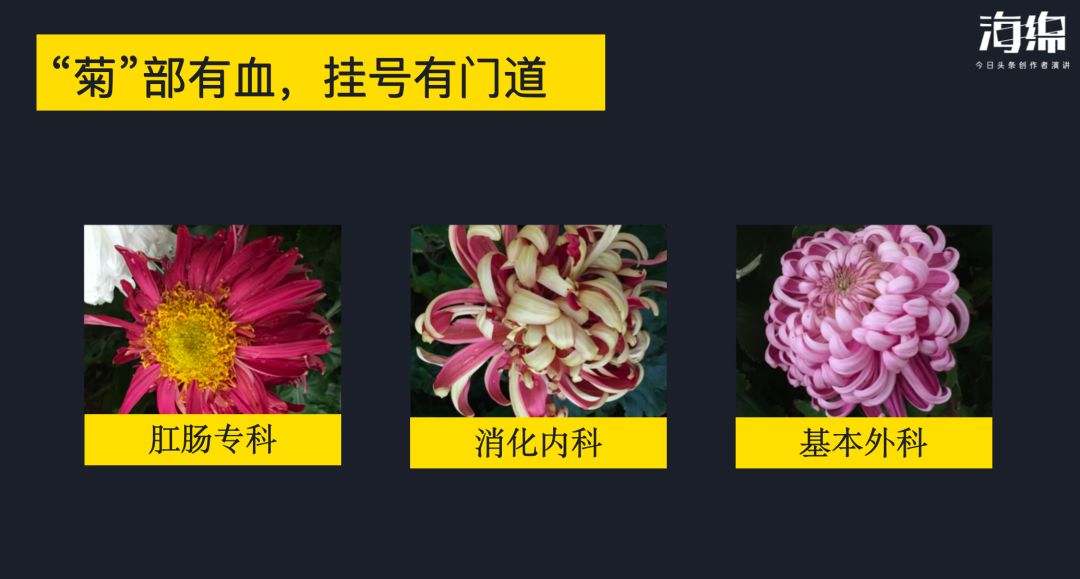 协和名医林国乐,协和林国乐讲座