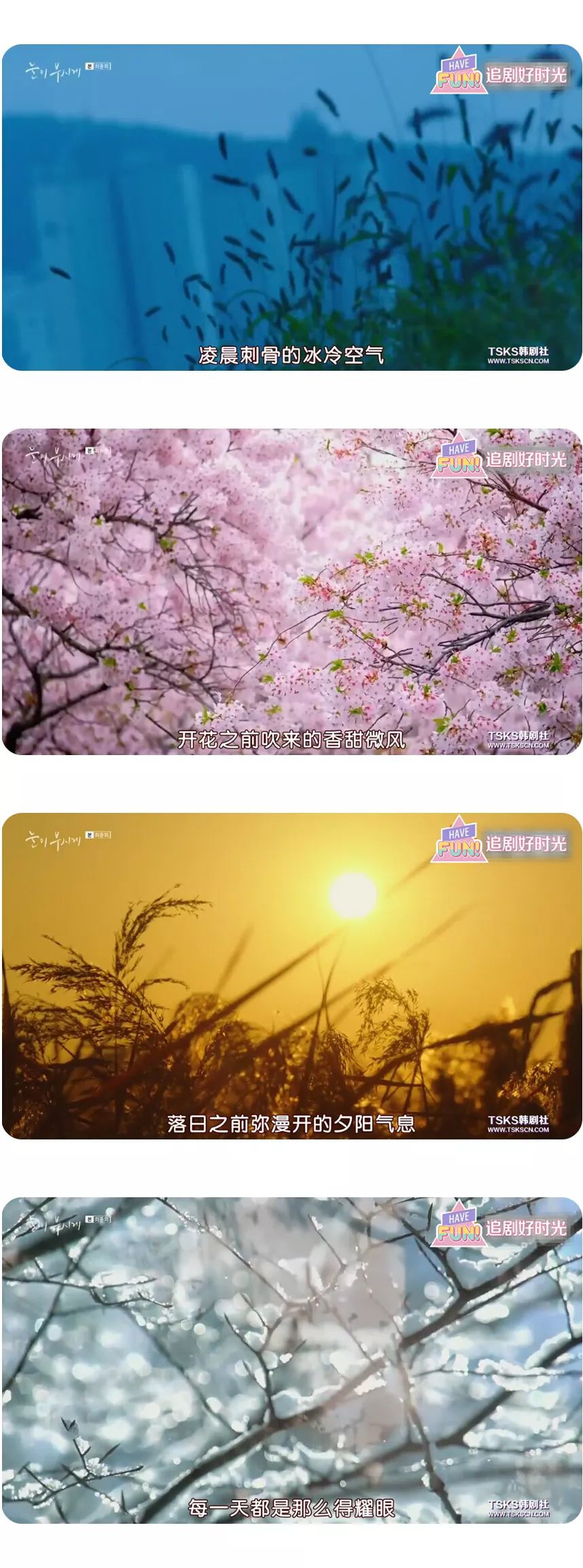 无尿点虐心电视剧,无尿点有趣国产电视剧