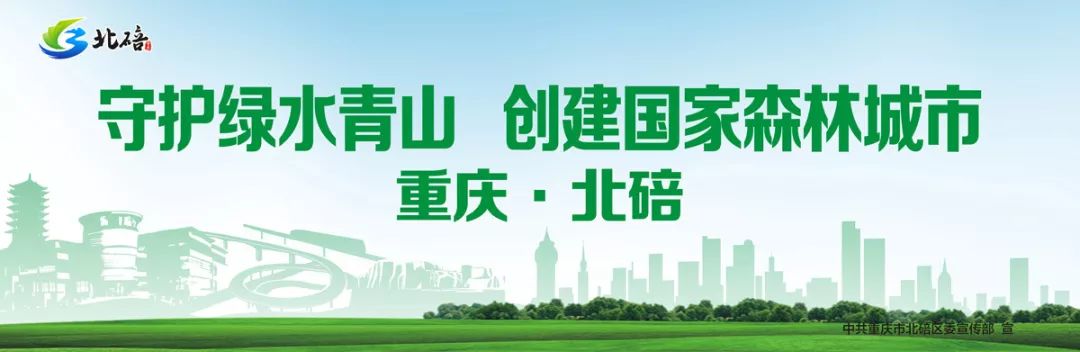 【发现】大家来围观，70年前兼善中学的体育运动