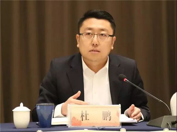 我市召开欧洲城项目规划方案汇报会结合市情优规划坚定信心促进展为加快推进全域旅游发展注入强劲动力