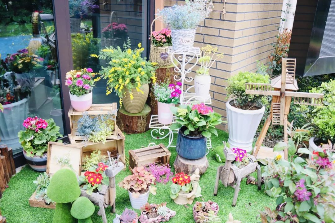 海量美图100张,海量高清美图