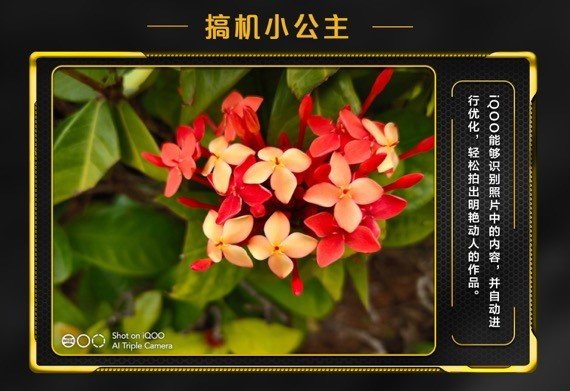 iqoo拍照好性能好续航好,iqooneo6拍照样张
