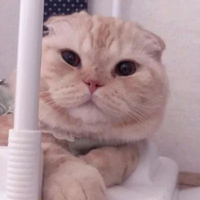 【3折抄底】身体清洁专场：进口、大牌、低至9.9包邮。喜欢干净漂亮的你～