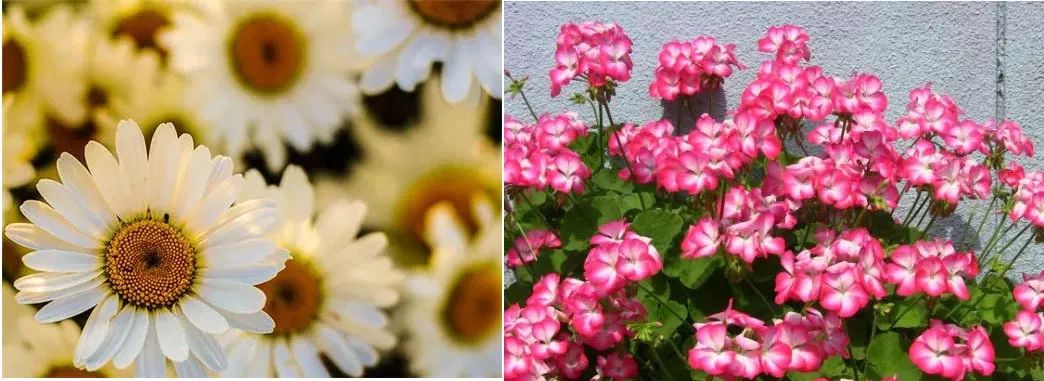 1元秒杀高倍防晒,持久高倍防晒平价防紫外线