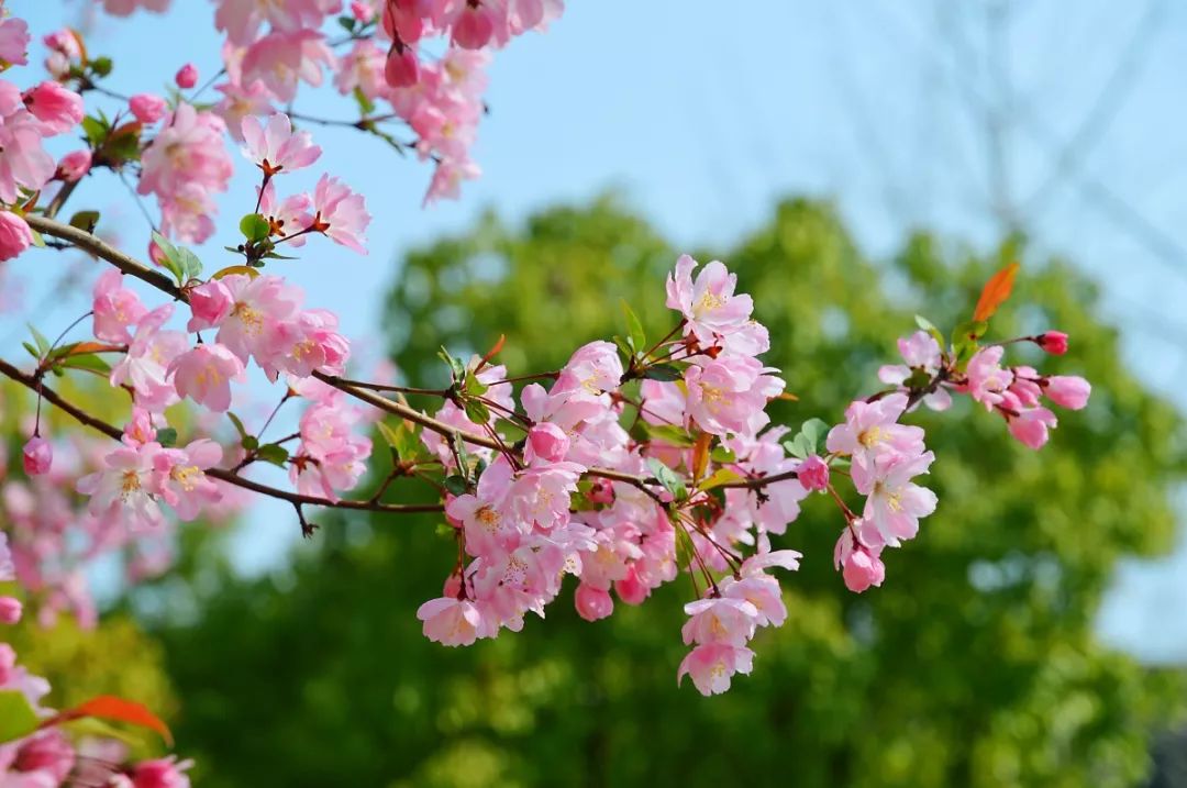 苏州适合周末度假的酒店,苏州度假酒店亲子游冬季