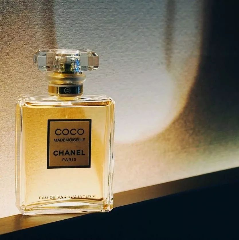 寻找香奈儿,用鼻子闻气味找对象