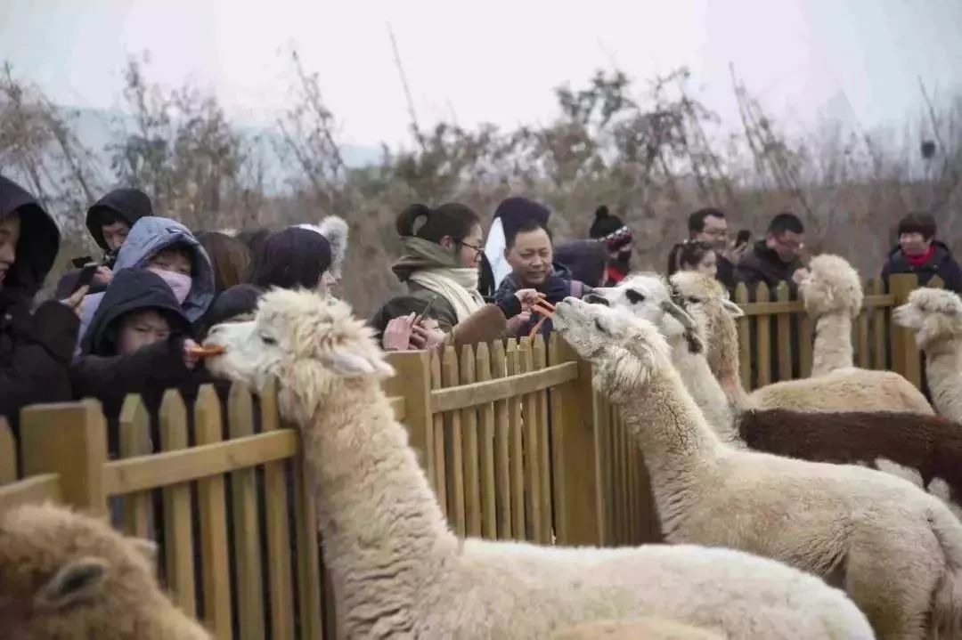 免票或半价！全国几百个景区集体降价，河南有这些…千万别错过！