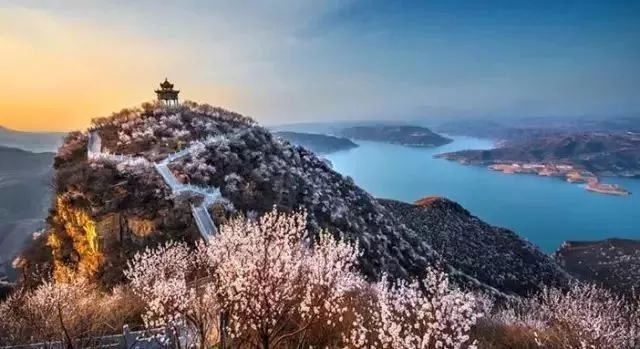 免票或半价！全国几百个景区集体降价，河南有这些…千万别错过！