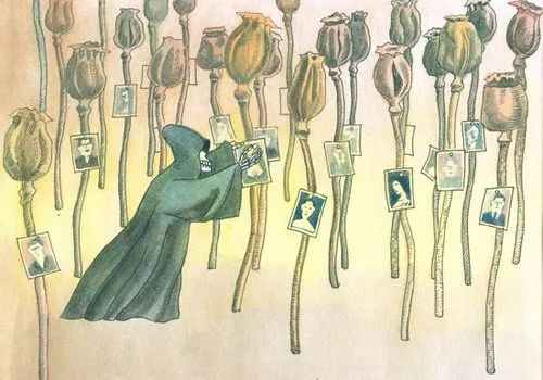 禁毒宣传毒品的危害你一定要知道,禁毒宣传罂粟的危害