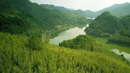 南阳高铁最全资料！站前四大项目公开，打开南阳交通新篇章