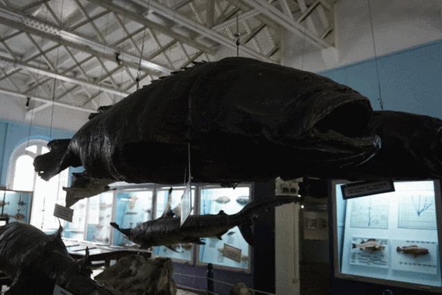 一次玩遍欧洲,毛里求斯环岛