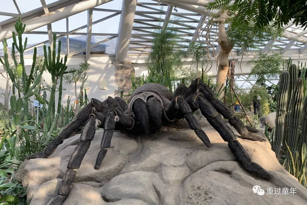 西安一个很有特色的公园,西安唯一要门票的公园