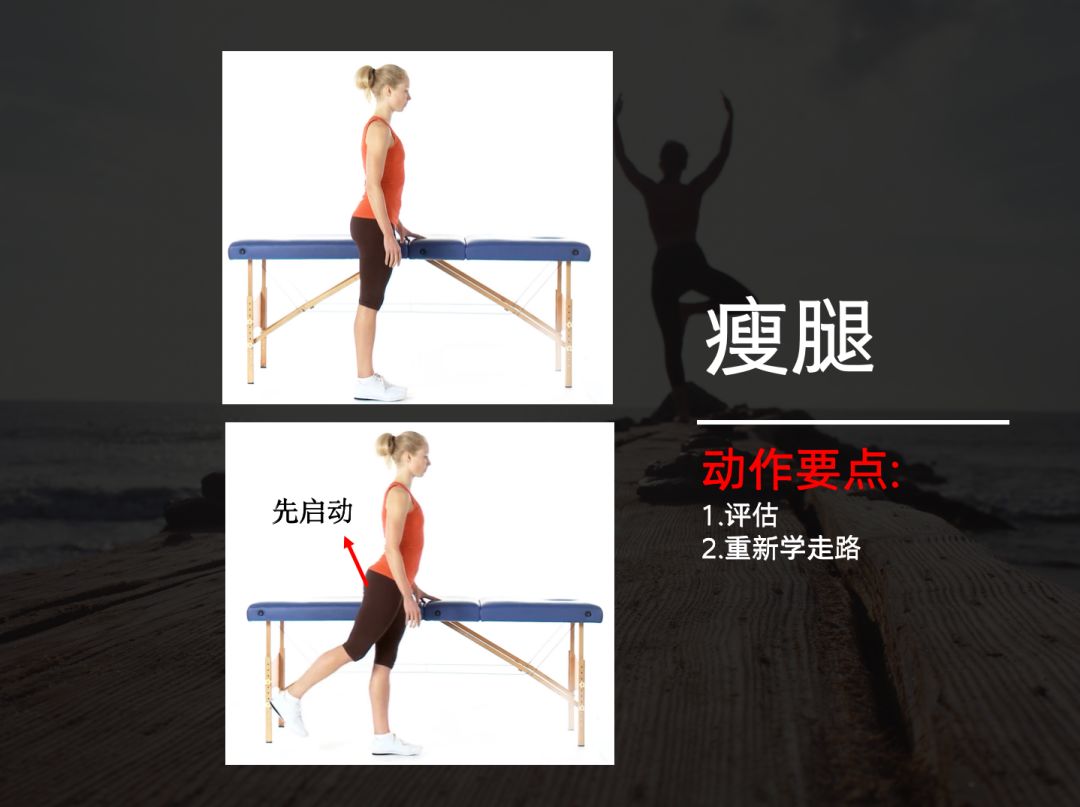 李哲老师解剖腹部肌肉,教你学解剖的李哲是什么人