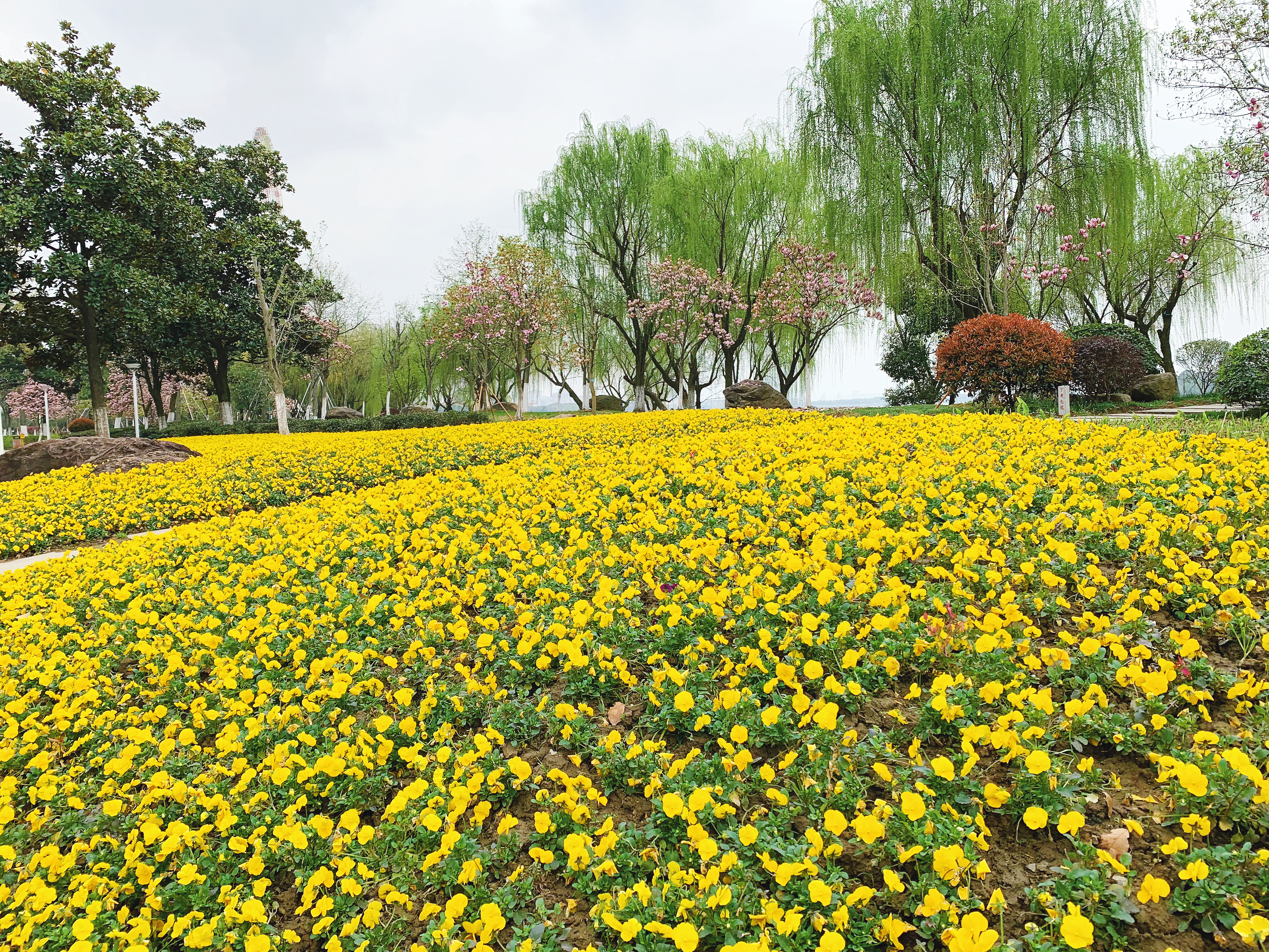 都挺好苏州取景地打卡,都挺好打卡苏州