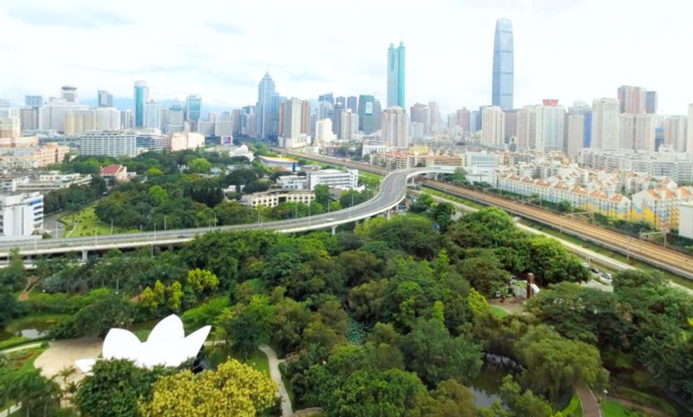 一名记者的感悟,一名记者眼中的春节