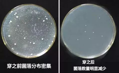 精致女生|比杜蕾斯还薄的*裤内**，舒适还很“安全”，穿上就像裸着一样