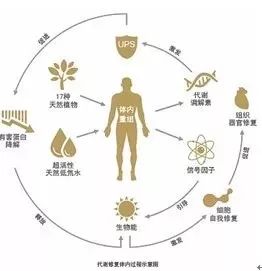 减肥真人秀画风跑偏变吃播？“太子妃”坚守底线不忘初心