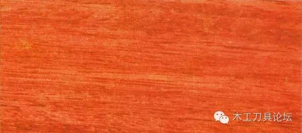 识别木材优劣家居人必备基本功,木材识别基础知识