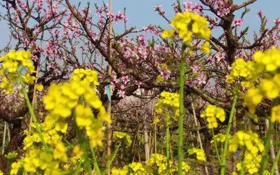 城事指南,浦东区旅游攻略