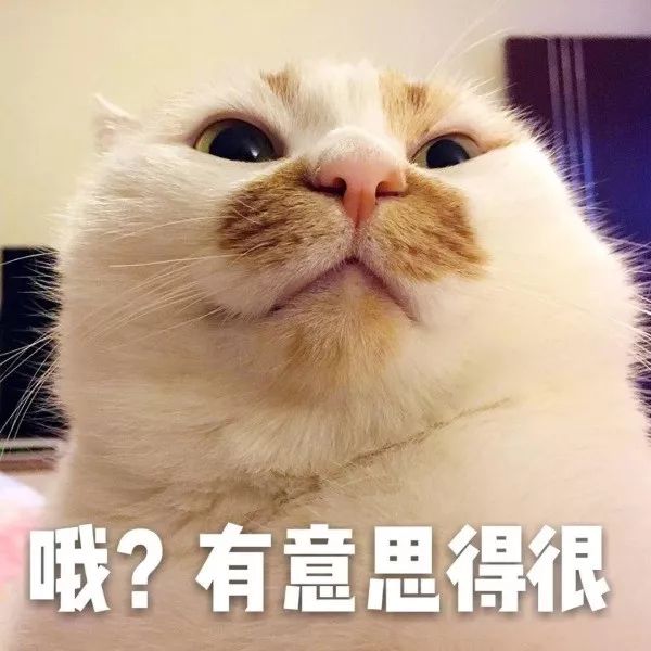 张雨绮沈梦辰,张雨绮沈梦辰海底捞完整版