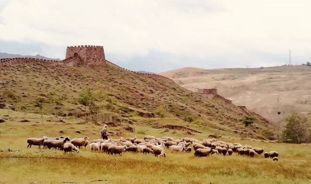沙漠一年出现的奇观,沙漠黄河的奇景