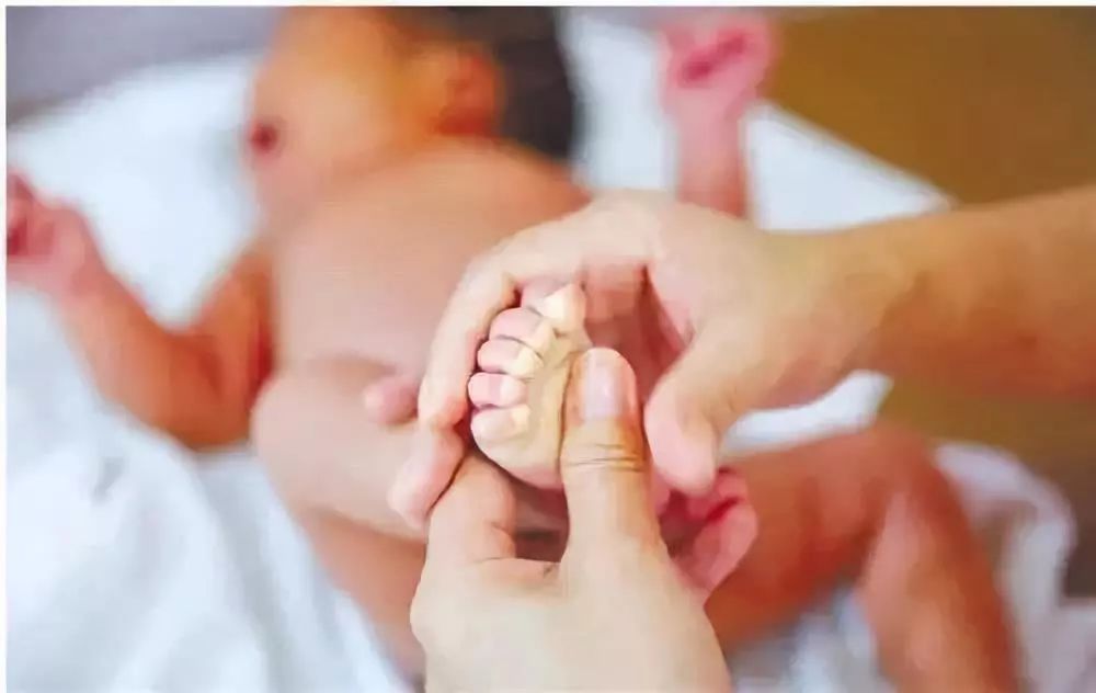 卧底金牌月嫂速成班揭秘考证内幕,金牌月嫂需要哪些证书和资质呢