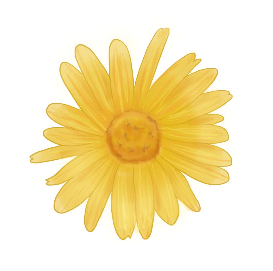 孕妈三大现象,孕妈出现这3种情况