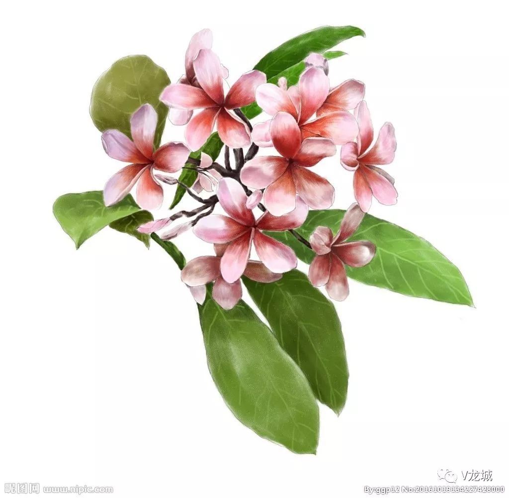 送教下基层新闻,送教下乡新闻