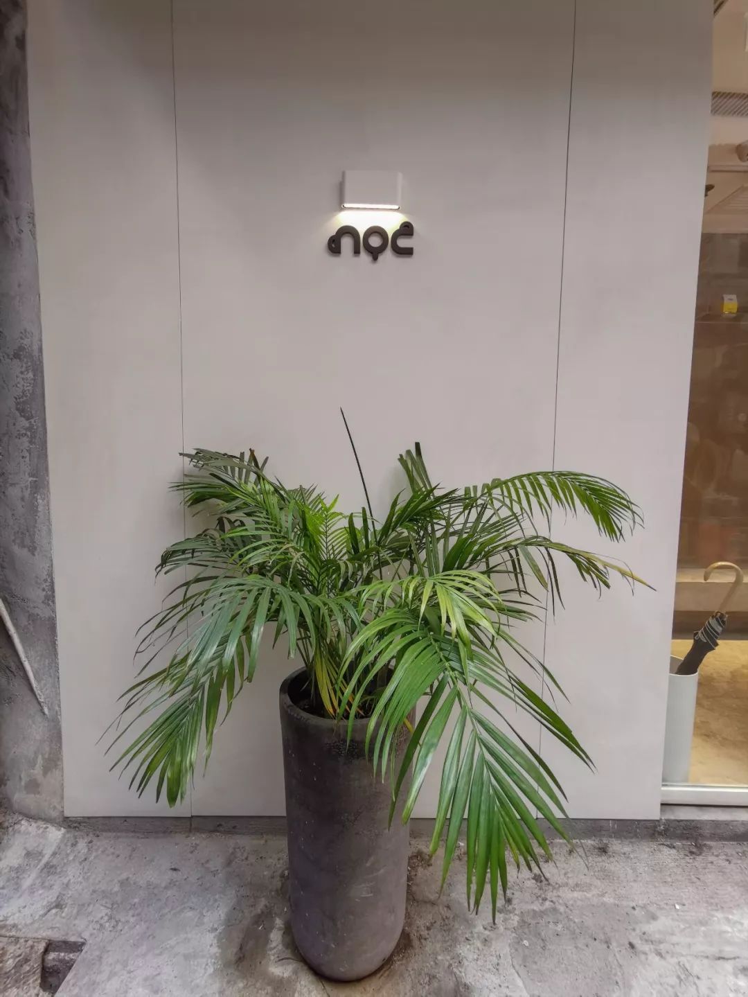 香港最出名值得打卡的咖啡,香港必打卡的咖啡