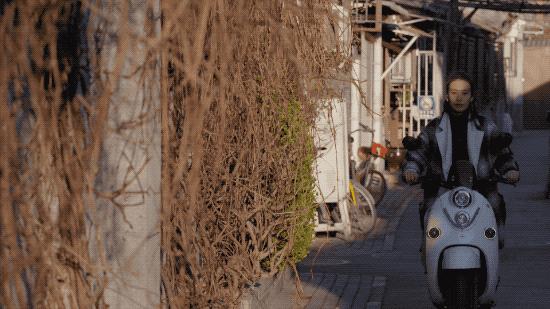 北京姑娘开民宿,北京姑娘开了家胡同民宿