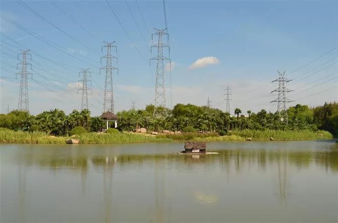 剁手｜10块钱在上海能干些什么？这些可能大家都想不到！