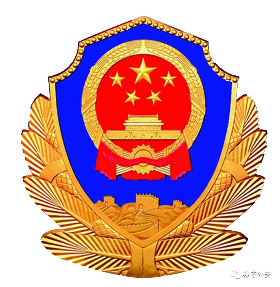 涉案金额超300万元诈骗团伙被抓,涉案金额3亿诈骗团伙300多人