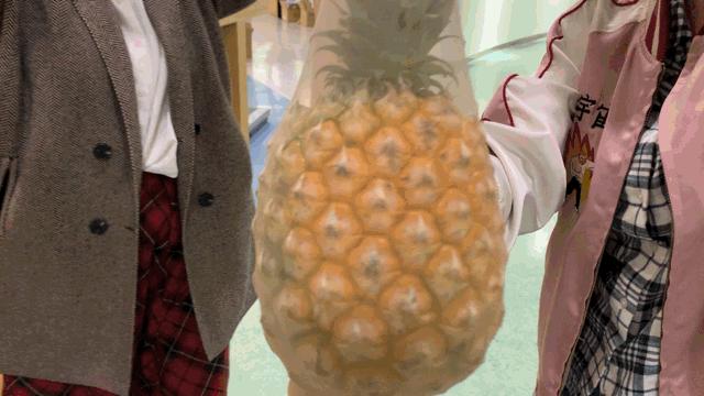 春夏薄款防勾丝珠光袜,不易勾丝又显瘦的薄袜