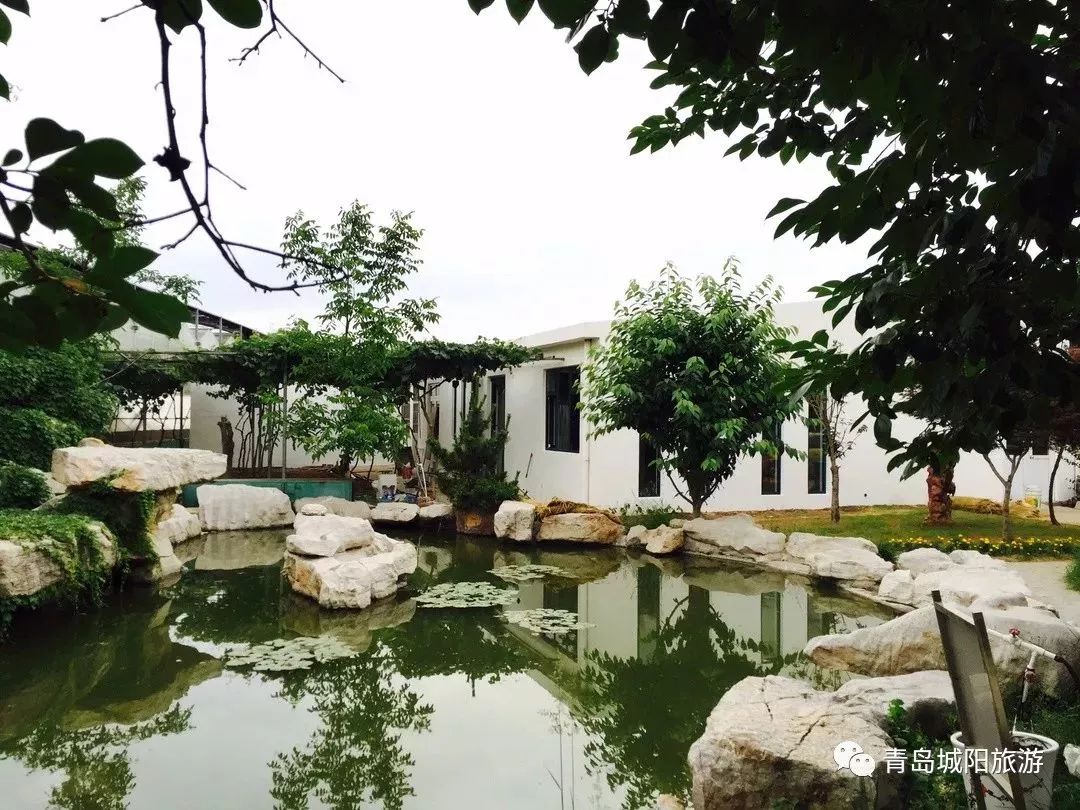 青岛城阳旅游线路推荐,青岛城阳一日游推荐