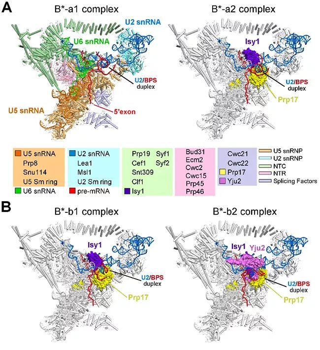 机械前沿领域的科研成果,盘点医学界前沿十大科研成果