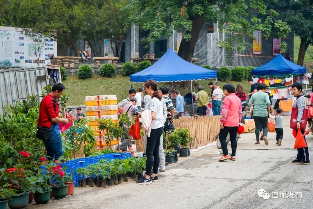 清明节金石滩旅游攻略,五月份适合旅游的小众古村落