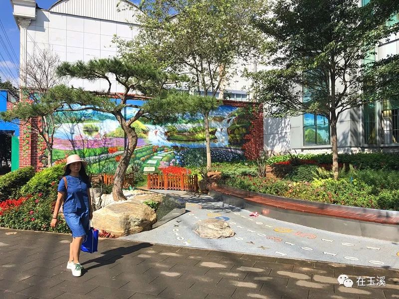 哇家玉溪是个大花园!处处可赏花,步步皆是景!