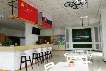 中东欧合作区为什么定在沧州,沧州中东欧企业合作区