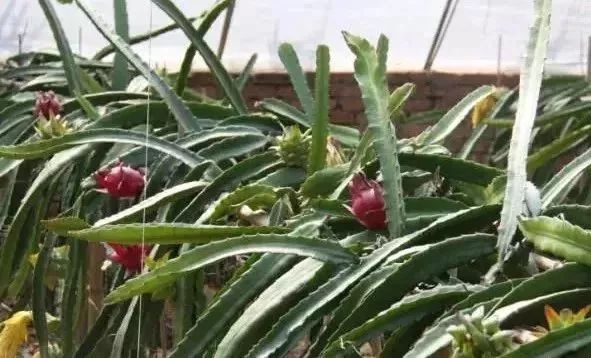 最新通告!清明假期,河北这些地儿不能去,因为……