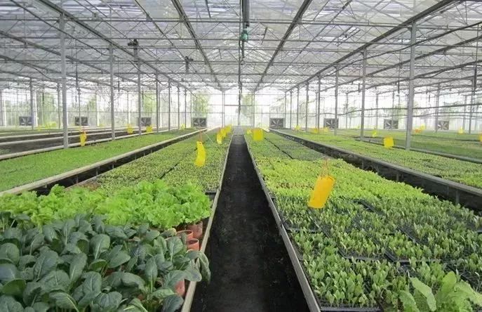 最新通告!清明假期,河北这些地儿不能去,因为……