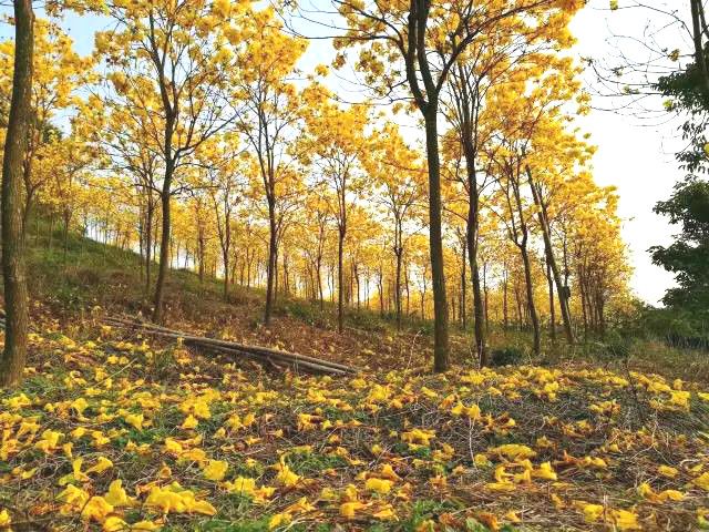 诏安小云水谣,诏安旅游团云水谣景区